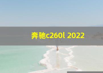 奔驰c260l 2022